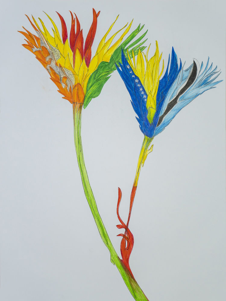 Flag 4 | Benin with Bosnia and Herzegovina, Botswana, Bhutan and Bolivia | Uli Aigner 2019 | 69 x 93 cm | Colored pencil on paper